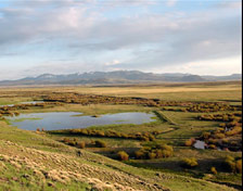 A wetland area in the Arapaho Ntl Wildife Refuge, Colorado.