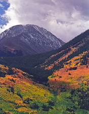 Fall colors from Trail Ridge Rd